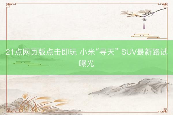 21点网页版点击即玩 小米“寻天” SUV最新路试曝光