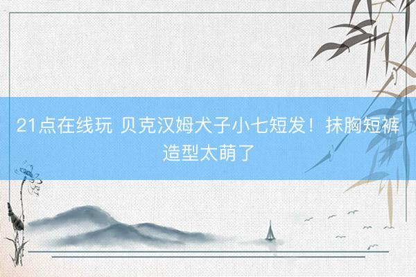 21点在线玩 贝克汉姆犬子小七短发!抹胸短裤造型太萌了